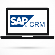 sap-crm-early-adoptor