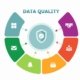 Data Quality